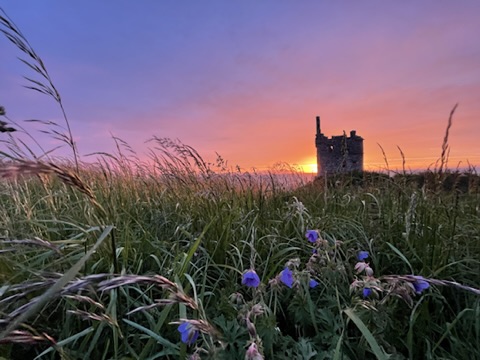 A small ruined tower standing beyond long grass at a violet sunset